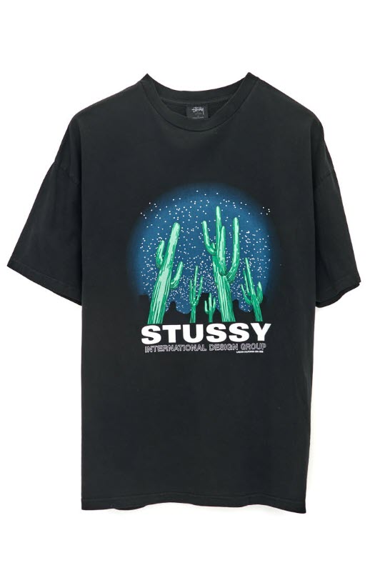 Stussy Cactus Tee Dress