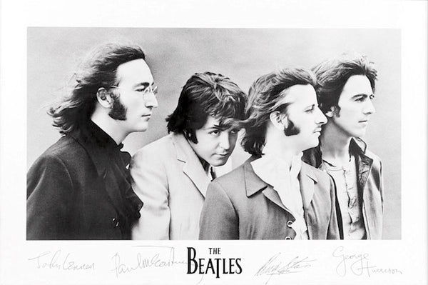 The Beatles The Signatures Poster