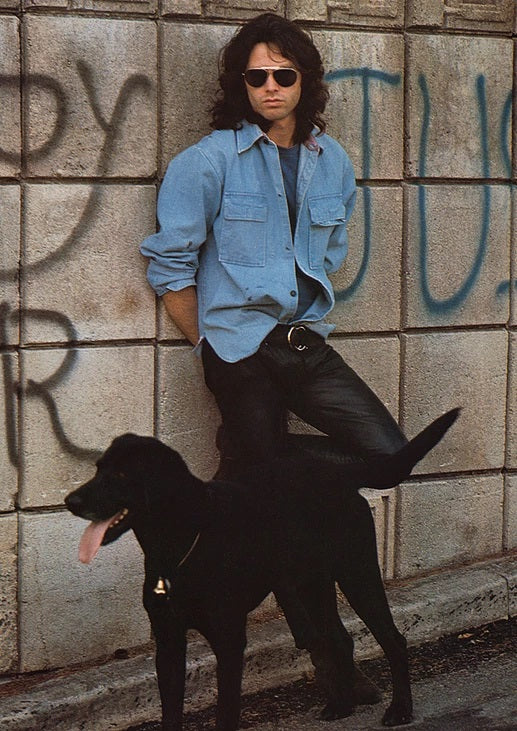 The Doors Jim Morrison Dog Poster
