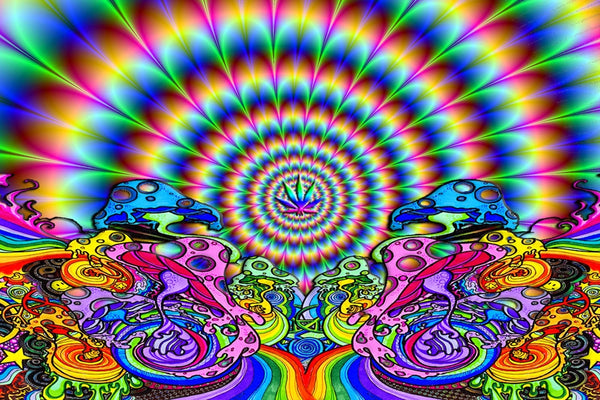 Trippy Hippie Fractal Poster