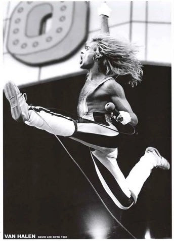 Van Halen David Lee Roth 1980 Poster