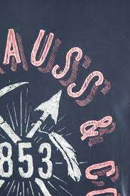 Levis- mens-tshirt-san-francisco 