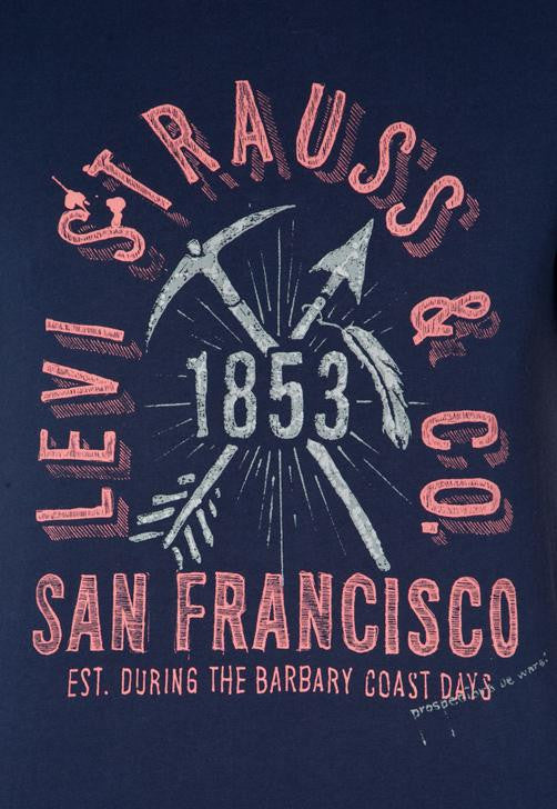 Levis- mens-tshirt-san-francisco 